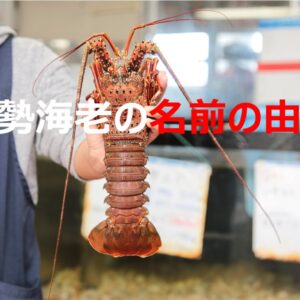 伊勢海老の名前の由来 伊勢海老は何故 伊勢 って呼ぶの