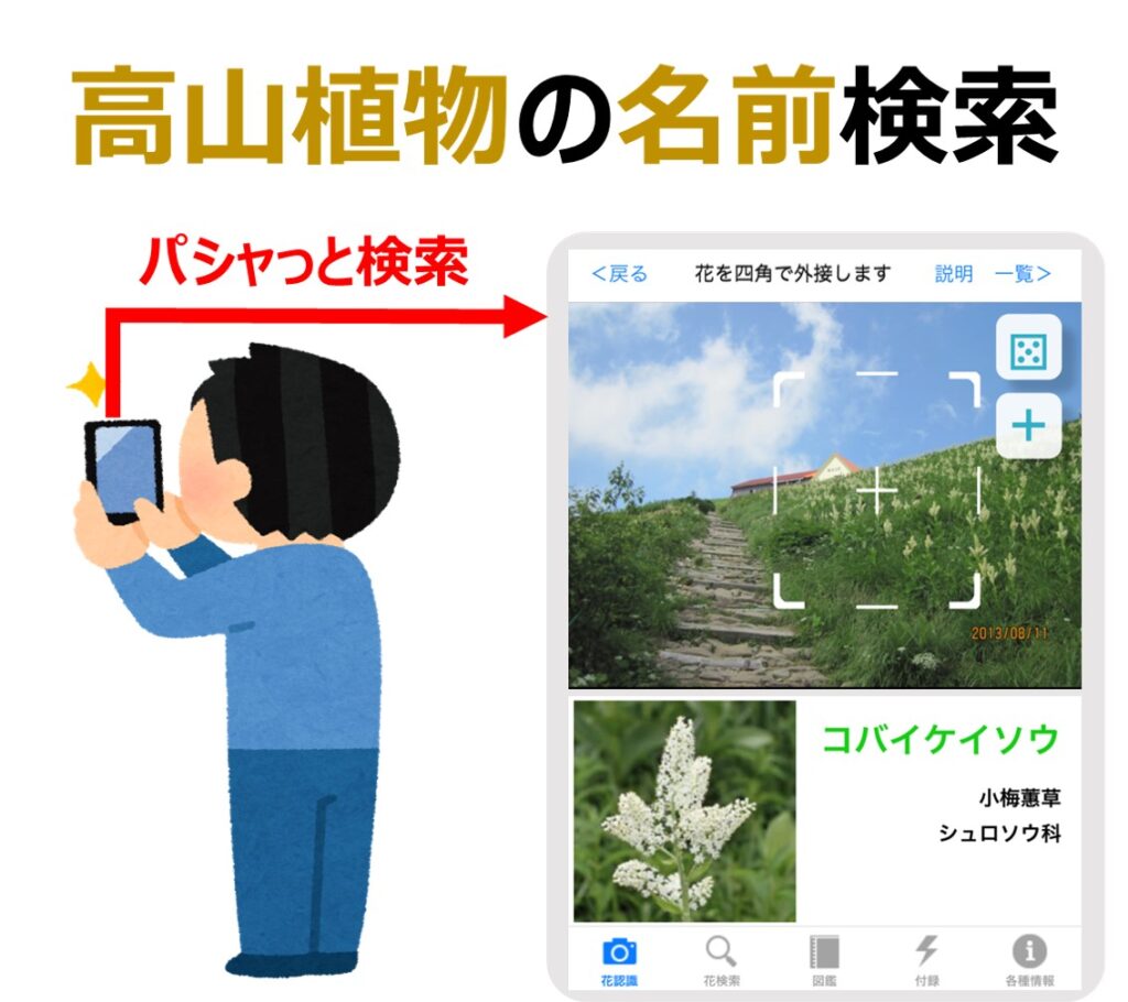 高山植物の名前検索アプリ 花しらべ をiphoneに入れてパシャっ