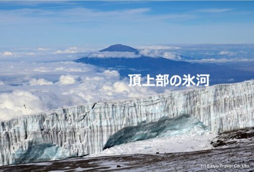 頂上部の氷河